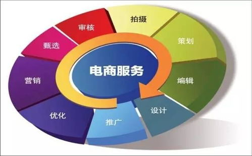 电子商务专业技术和管理