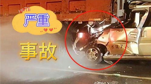 打氧机断电一车鱼死亡 鱼主怒砸水箱