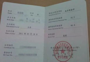 电子商务师证专业有哪些