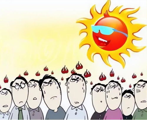 夏天已经热到鸟都中暑了，炎炎夏日如何应对？